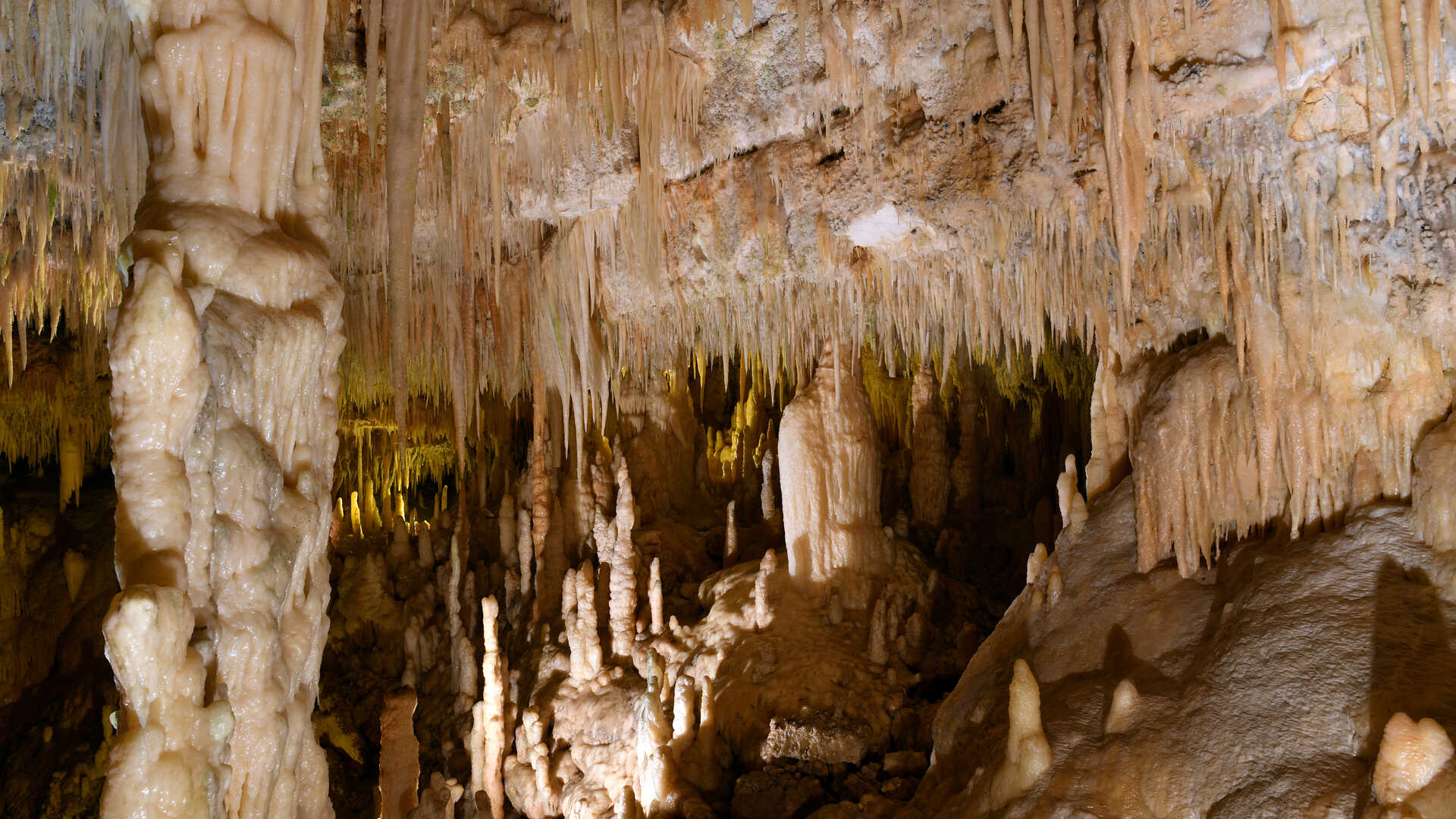 Grotte di Castellana